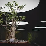 Doubletree By Hilton Fontana Park 4* Lisboa