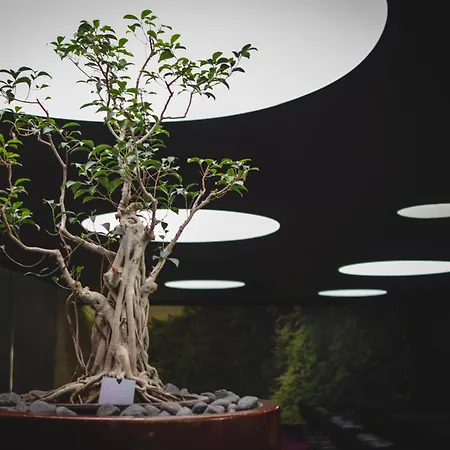 Doubletree By Hilton Fontana Park 4* Lisbona