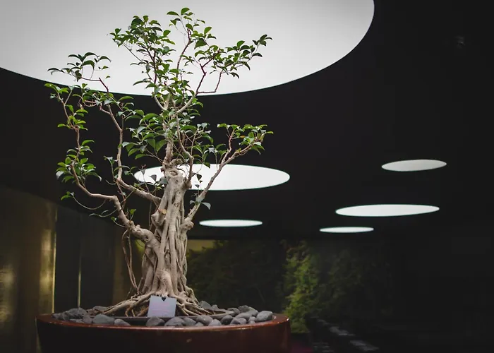 Doubletree By Hilton Fontana Park 4* Lisboa